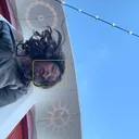 @sx.solflower