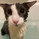 @1nstinct_uk