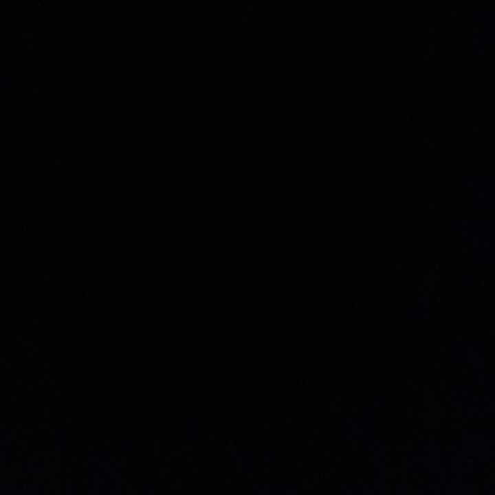🦓🐆 - original sound
