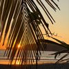 acapandleotravel