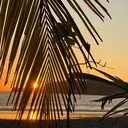 @acapandleotravel