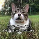 @arewehomeyet