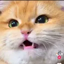 @dfgjk49xm