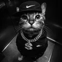 @gang_cat8