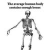 notvexbolts