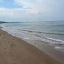 @2dogsandababy