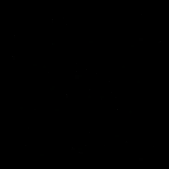 kenzoblitzem