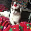 @hi543332