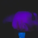 @appleuser8424680