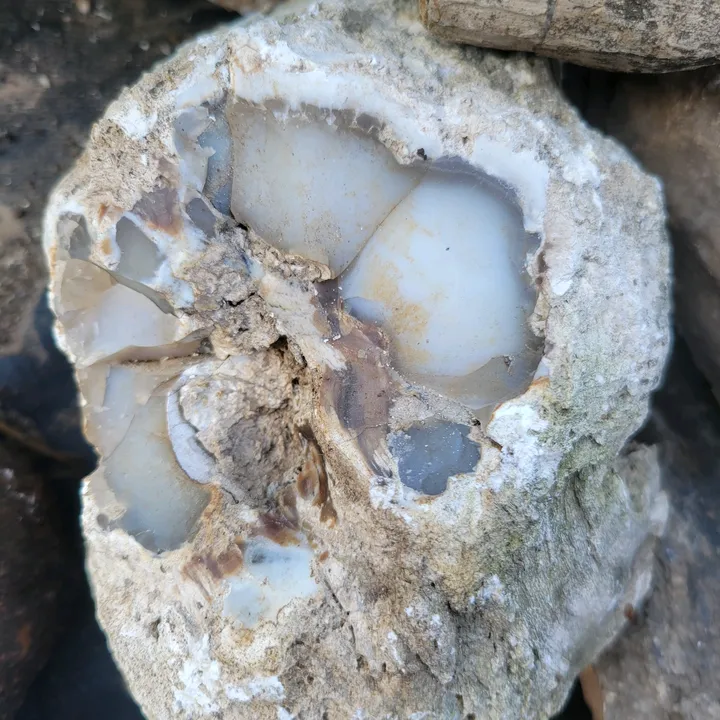 earthyfinds5