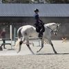 eventinganalligator
