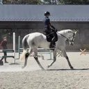 @eventinganalligator