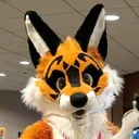 @foxshenanigans