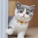 @wertm040
