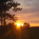 @worldvideostoday