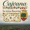 cajvana_bucovina
