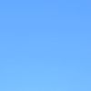 yurt3294