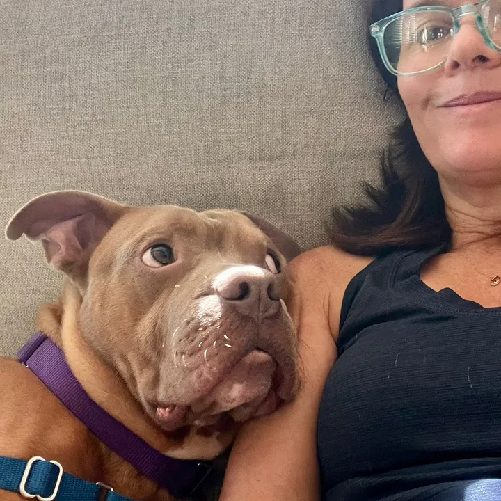 underdogclt