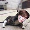 hellow_ip