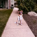 @elizabeth.servicedog
