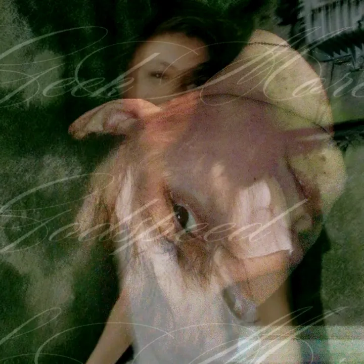 synjxoxo