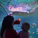 @x.http_sxmxnthx.x