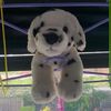 madison_12321