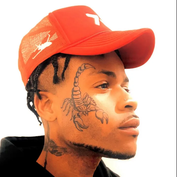 nogoscorpio