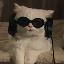 @musica2027_