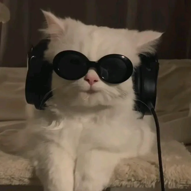 @musica2027_