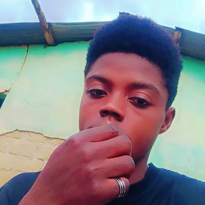 @gohalfred959