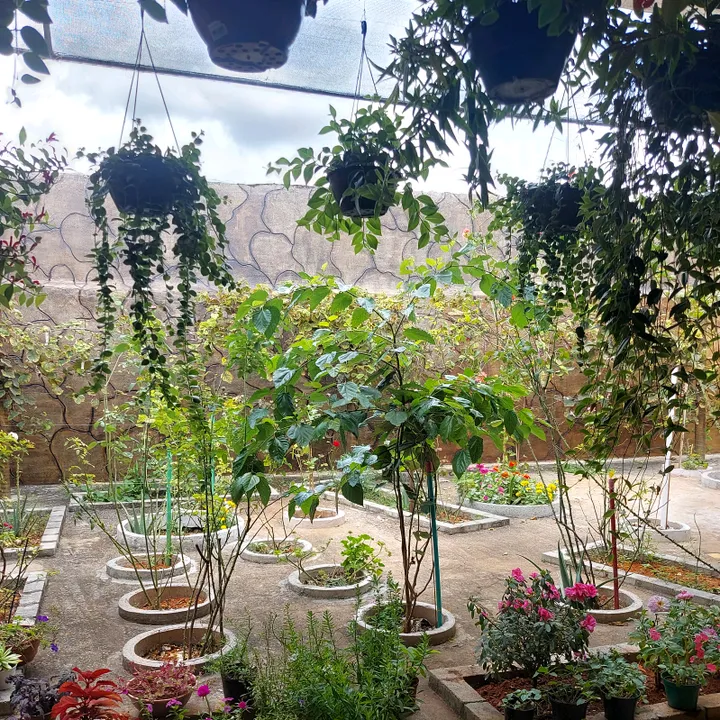 quintalverde4