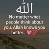 bishu879