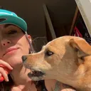 @hikeswithdogs
