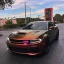@cavemanfla