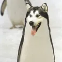 @timesmw2
