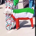@siriyocaad571