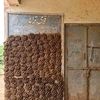tahir_yusuf2