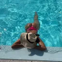 @nxslarisa
