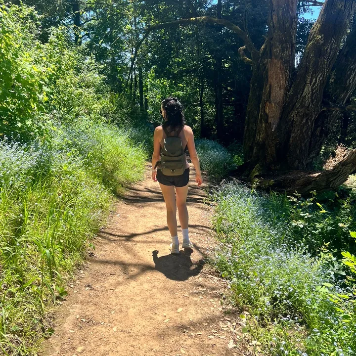 @trailfairy