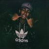 trizz.y2x