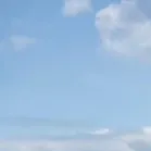 bon1b2