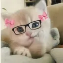 @cats_love204
