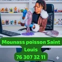@mounasspoisson