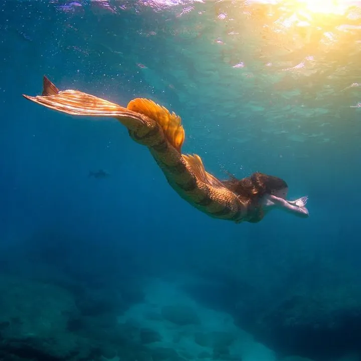 @haleymermaid