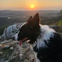 @aktivan_kutyaval