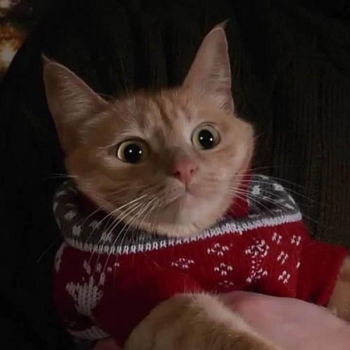 catnamedhoney
