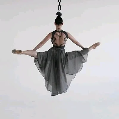 sylphieariella