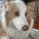 @happydiyhuntingbyrich