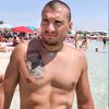 thebull1